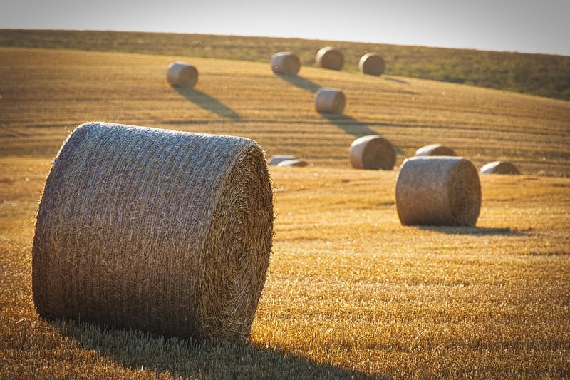 High-yield crop solutions