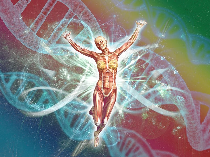 Genetic engineering in agriculture
